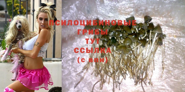 a pvp Алзамай