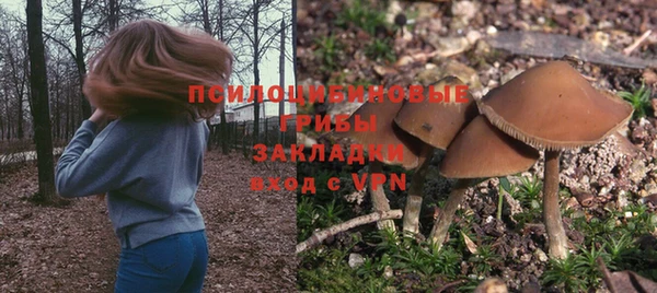 a pvp Алзамай
