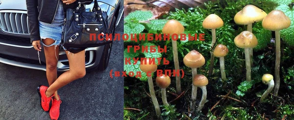 a pvp Алзамай