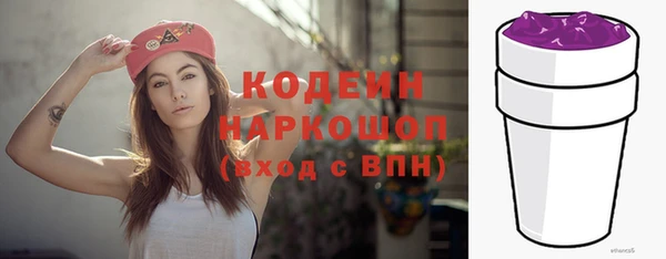 шишки Алексин