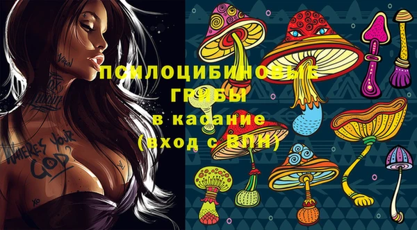 a pvp Алзамай