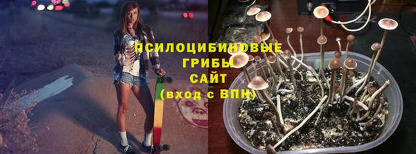 a pvp Алзамай